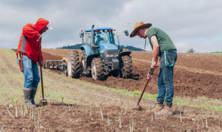 Farm Jobs in the Netherlands for Worldwide Workers 2023