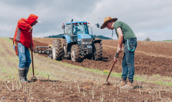 Farm Jobs in the Netherlands for Worldwide Workers 2023