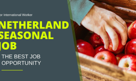 Netherland Seasonal Jobs Opportunity for Non-EU/ International Workers