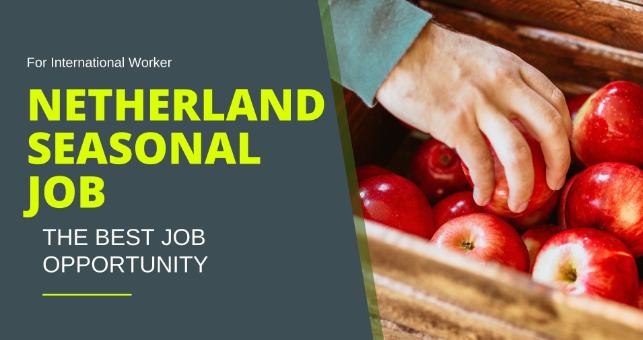 Netherland Seasonal Jobs Opportunity for Non-EU/ International Workers