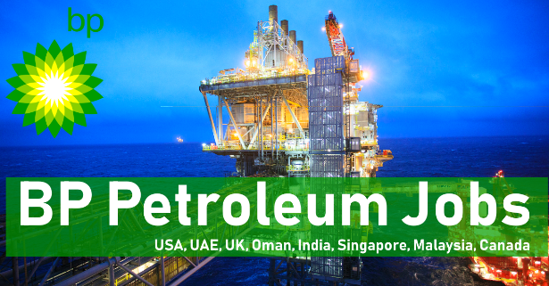 BP Petroleum Jobs (2024)