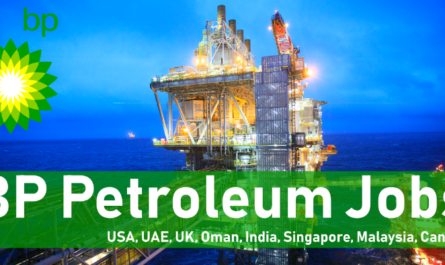 BP Petroleum Job Vacancies 2024