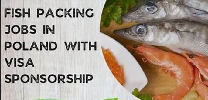 Fish Packing Jobs in Poland with Visa Sponsorship 2024